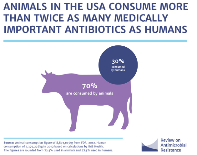 These Countries Are Using a Shocking Amount of Antibiotics on Animals –  Mother Jones