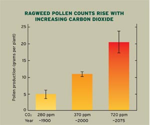 Pollen Count Chart