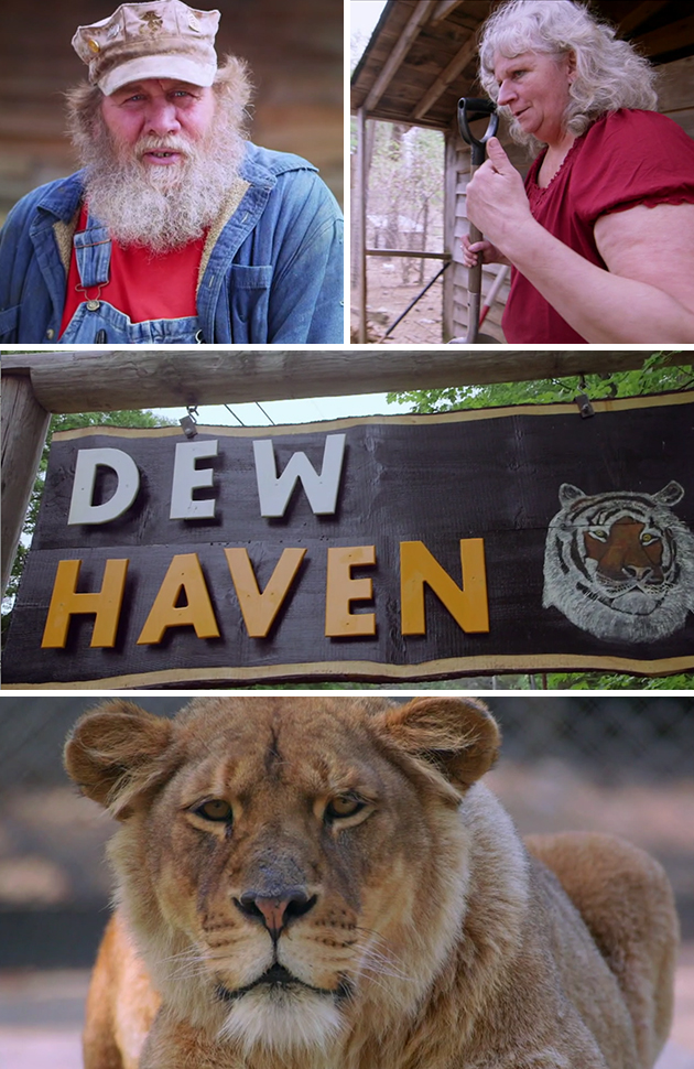 Welcome to the Jungle: The Shocking Story of Another Animal Planet Reality  Show – Mother Jones