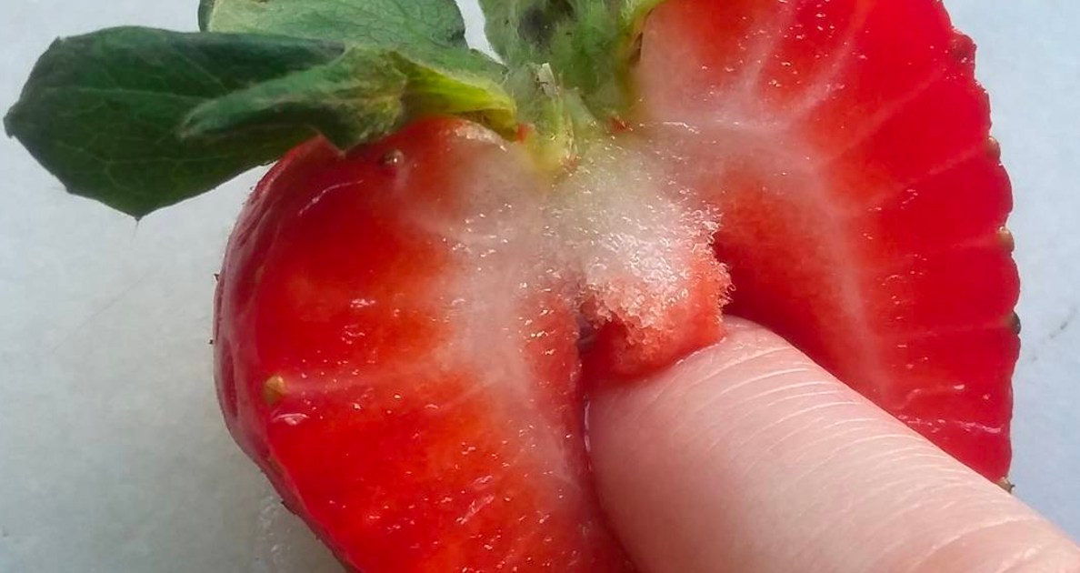 Fruit Market Sex Videos - We Can't Stop Looking at These Extremely Sexual Photos of Fruit ...