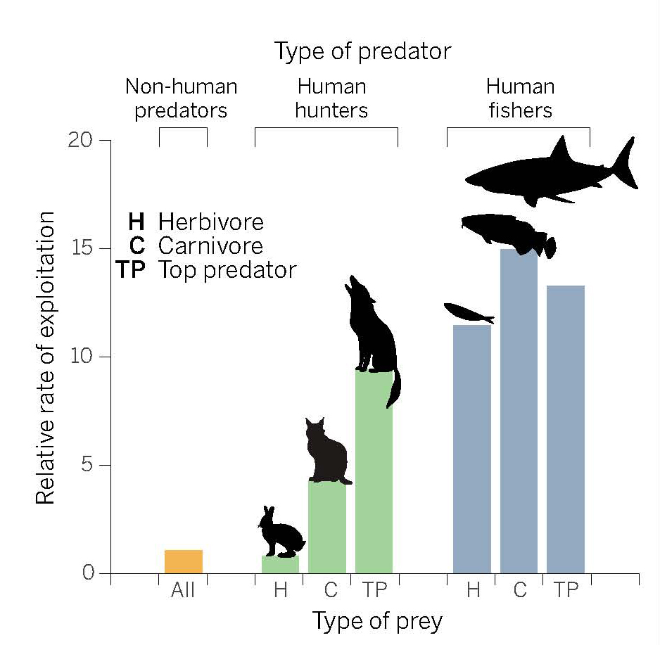New Study Finds That Humans Should Kill Smaller, Younger Animals – Mother  Jones